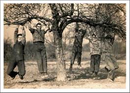 Pages Orchard in 1934 - taken by C Frost sm